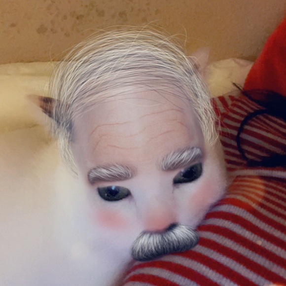 s_kylarct